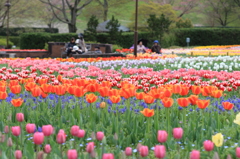 馬見丘陵公園