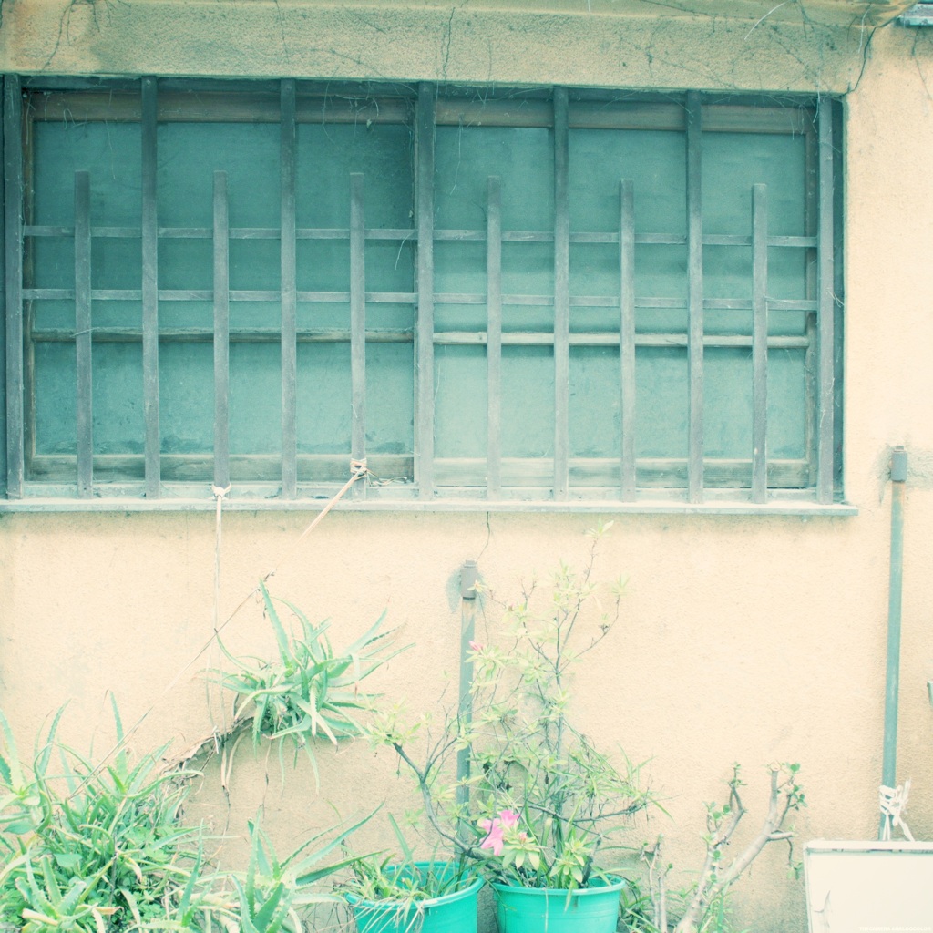 IMG_3505.JPG_effected