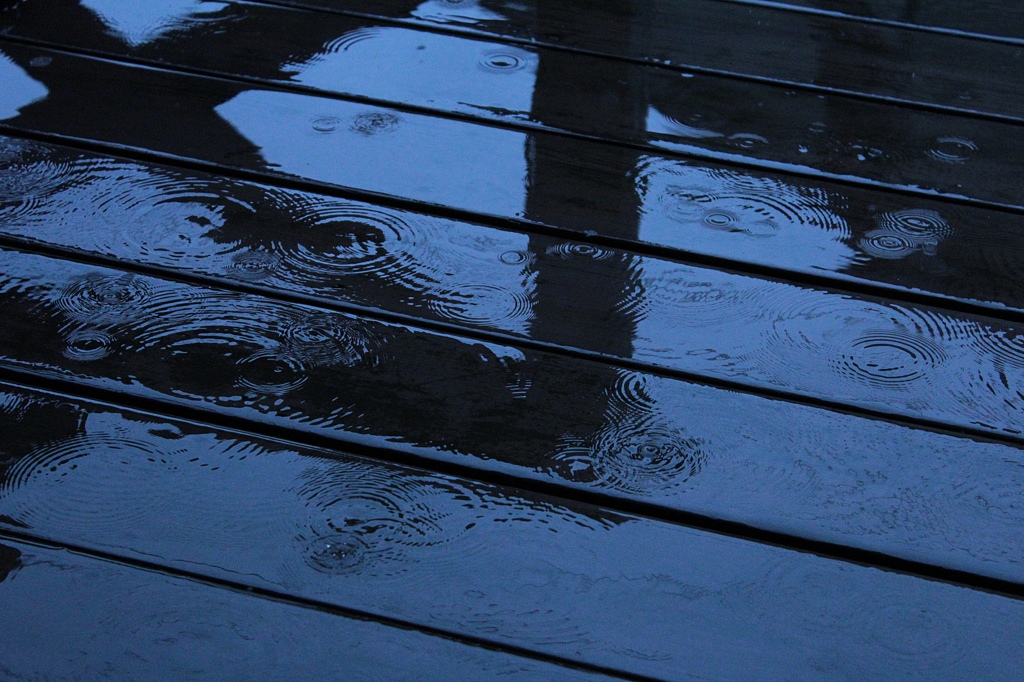 雨の雫