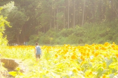 ぼくのなつやすみ2