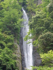 014山梨県早川町雨畑見神の滝