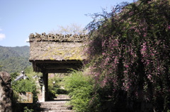 006萩の寺
