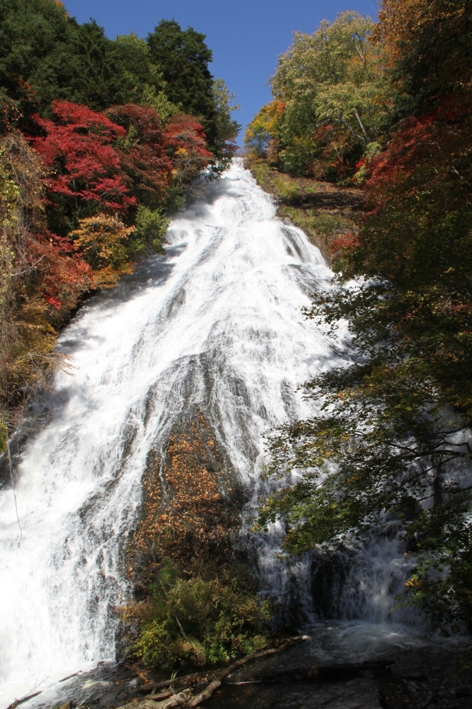 紅葉に囲まれた不動様