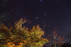 星空に萌えて