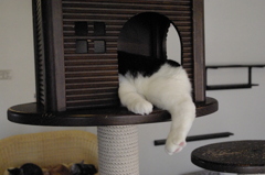 絶妙なバランスで　睡眠中
