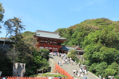 鶴岡八幡宮１