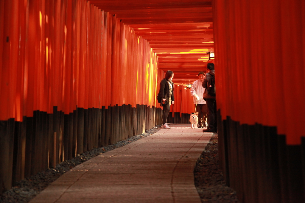 千本鳥居