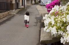 つつじの路地
