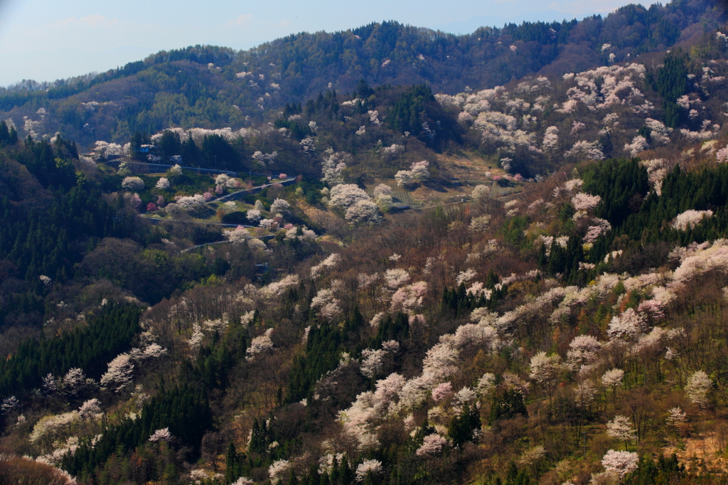 桜仙峡２