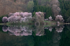 中綱湖No2
