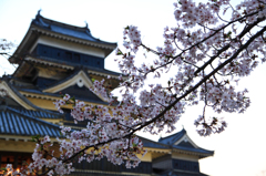 国宝と桜