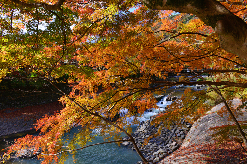 京八瀬の美