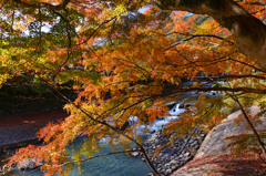 京八瀬の美
