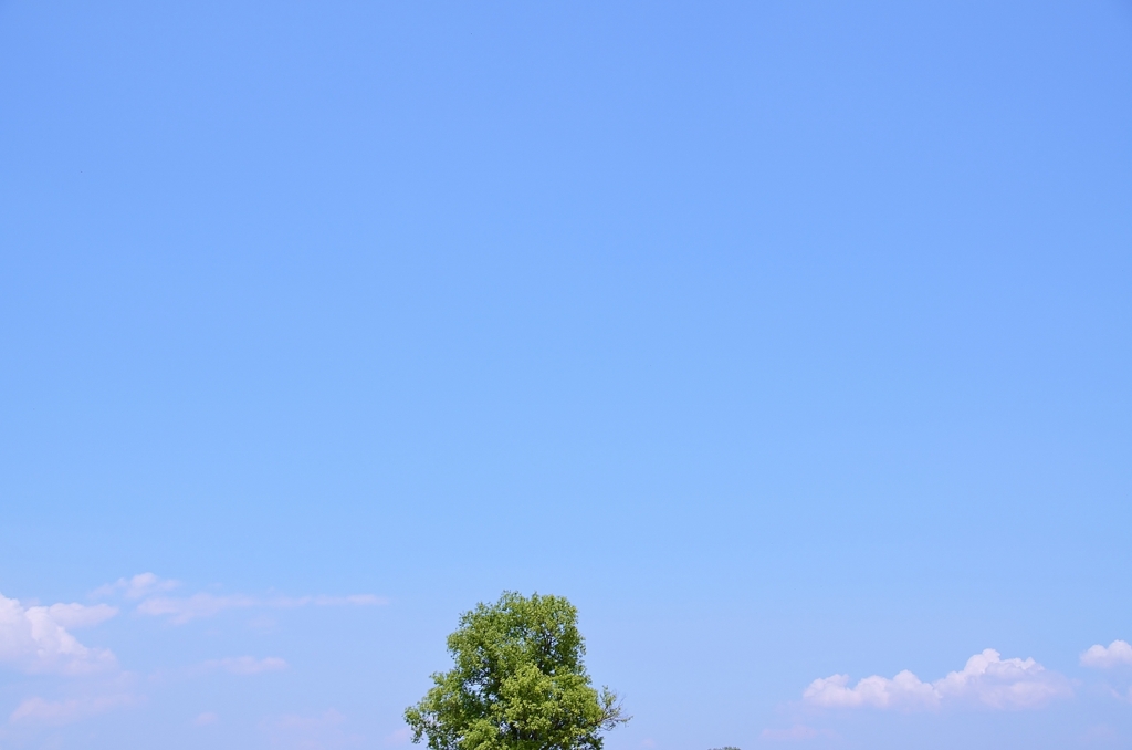 ultra-tree