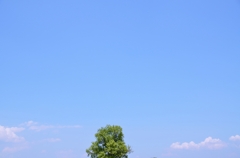 ultra-tree
