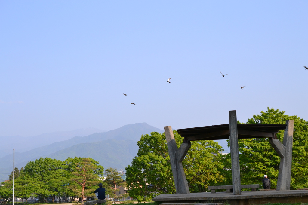 運動公園