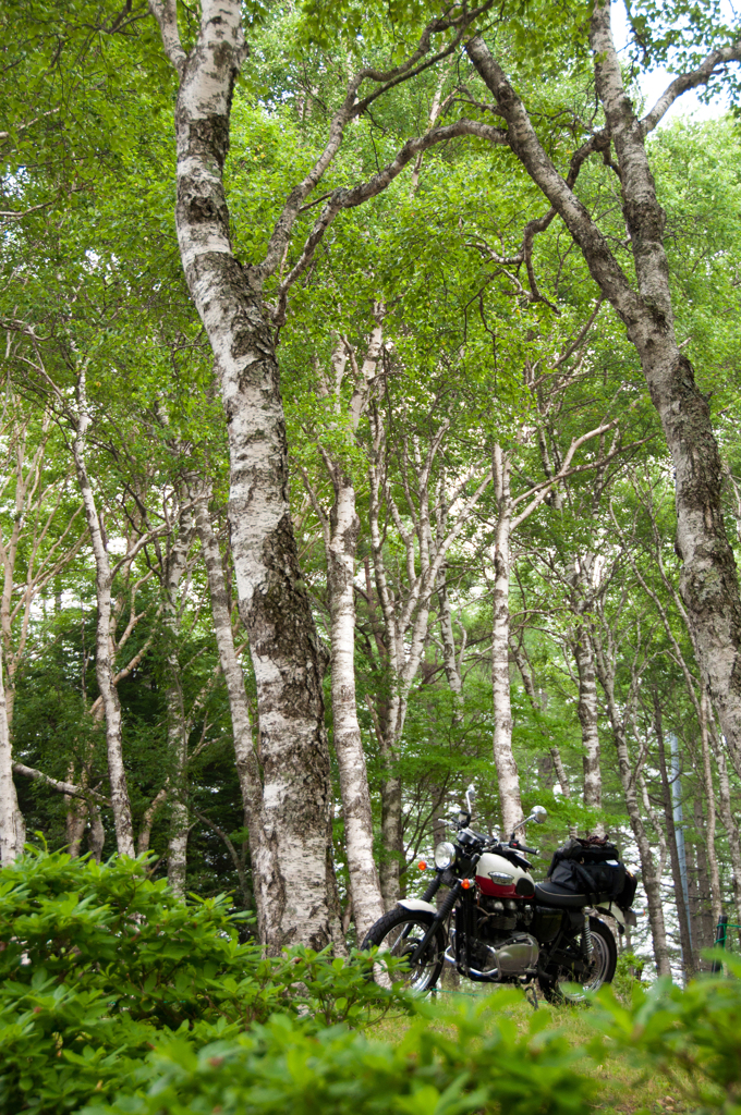 2012.07.28-09,45,44-DSC_0409