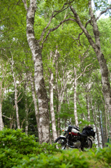 2012.07.28-09,45,44-DSC_0409