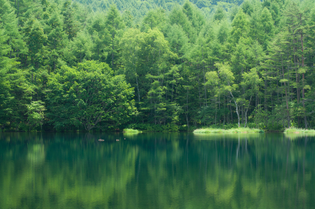 2012.07.27-12,12,27-DSC_0338