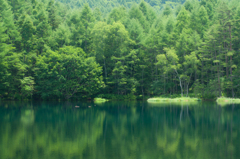 2012.07.27-12,12,27-DSC_0338