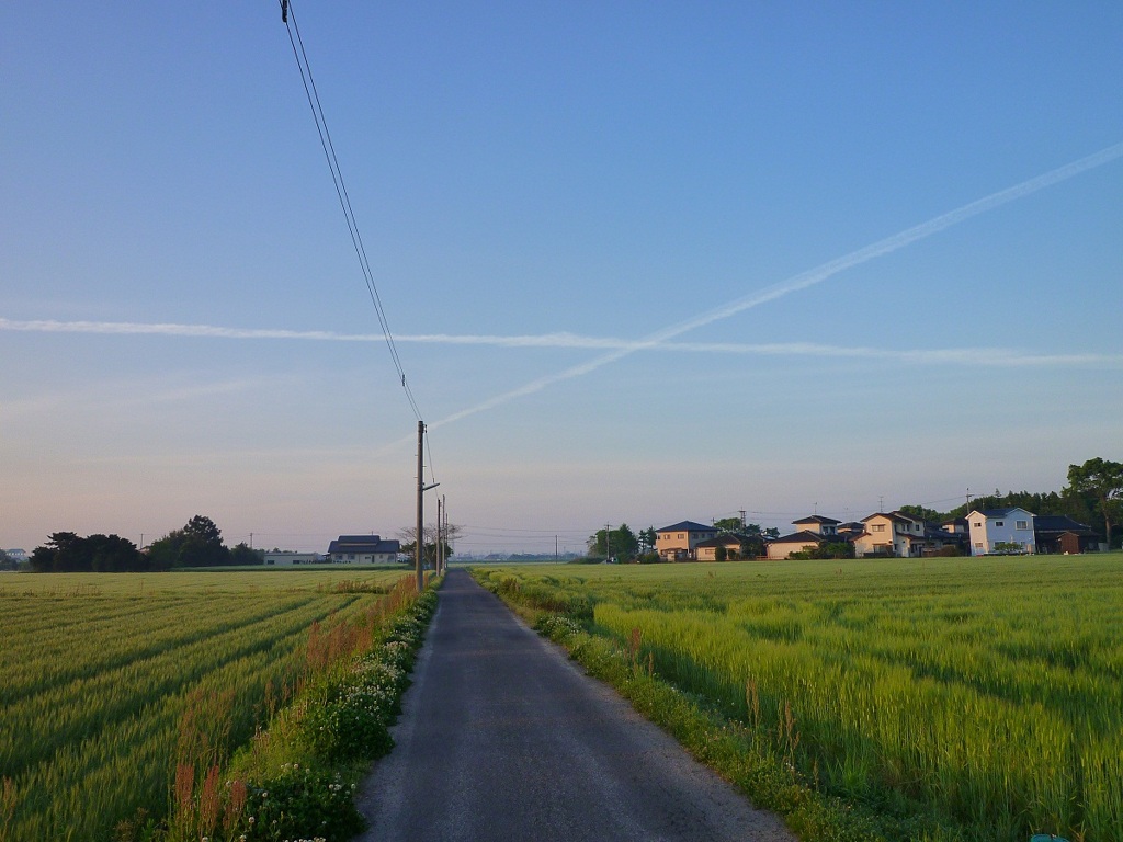 飛行機雲