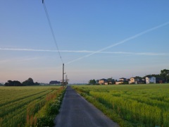 飛行機雲