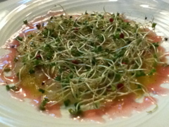 もじゃもじゃパッチョ