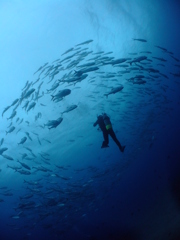 DSCF4168