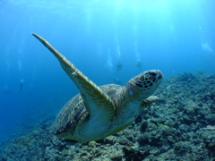 DSCF4112