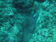 P1080549