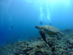 DSCF4114