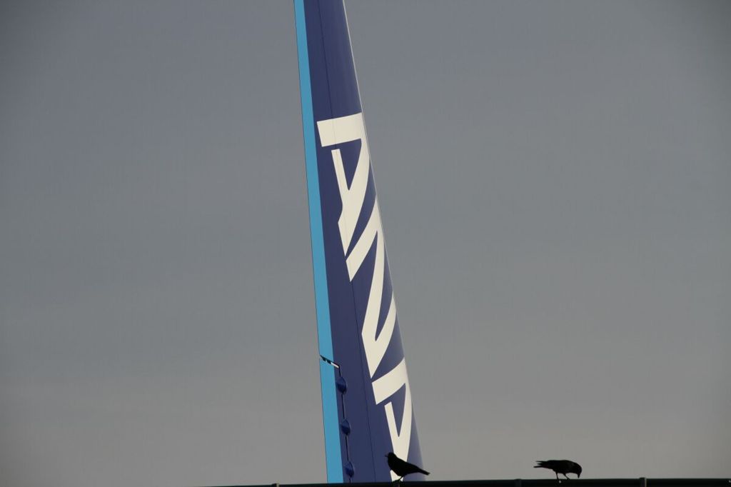 Boeing 787-8 for ANA