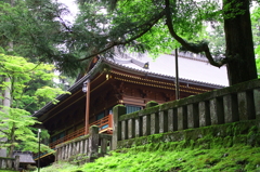 日光