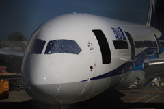 Boeing 787 @ Paine Field