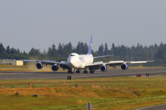 747-8F (PANALPINA Freighter)