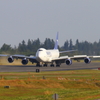 747-8F (PANALPINA Freighter)