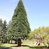 Woodinville の景色