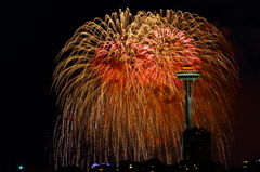 4th of July 2012 Seattle 007