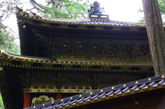日光