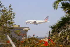 A380 Air France飛来