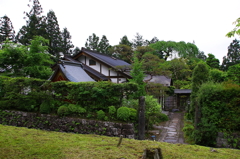 日光