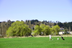 Driving Range @ Woodinville