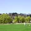 Driving Range @ Woodinville