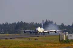 747-8F (PANALPINA Freighter)