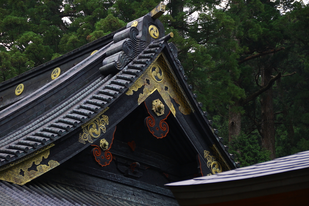 日光