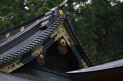 日光