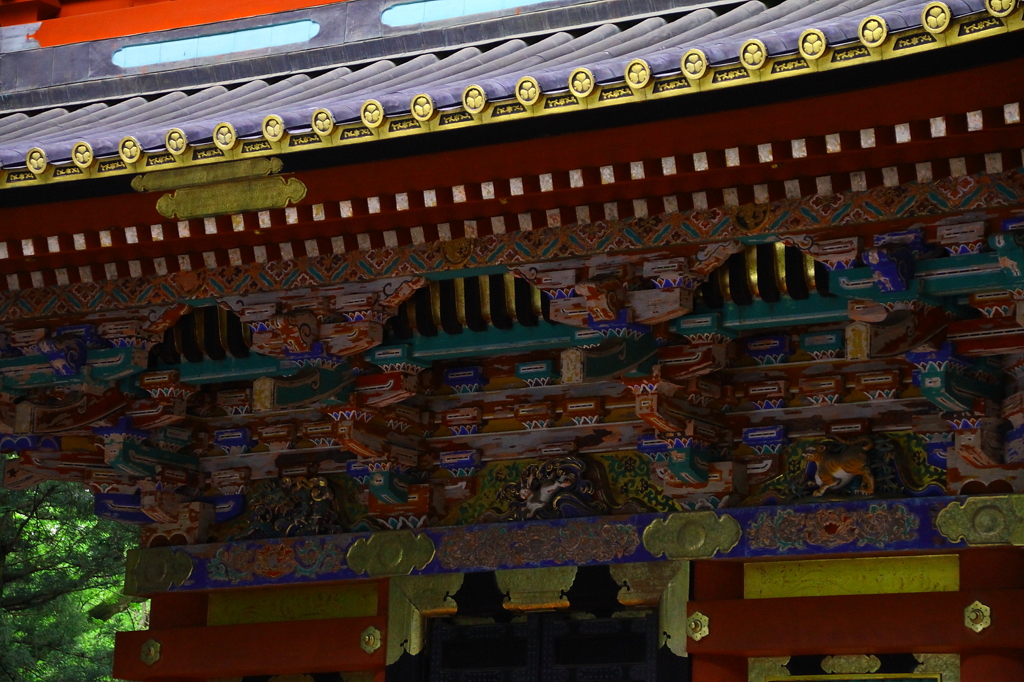 日光