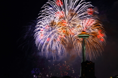 4th of July 2012 Seattle 011