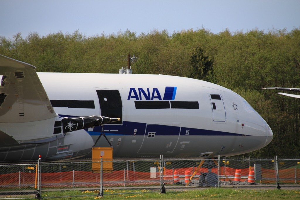 Boeing 787 @ Paine Field