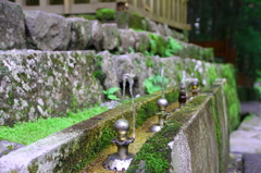 日光